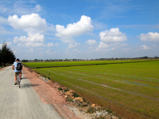 A tourist takes a bike ride in the country