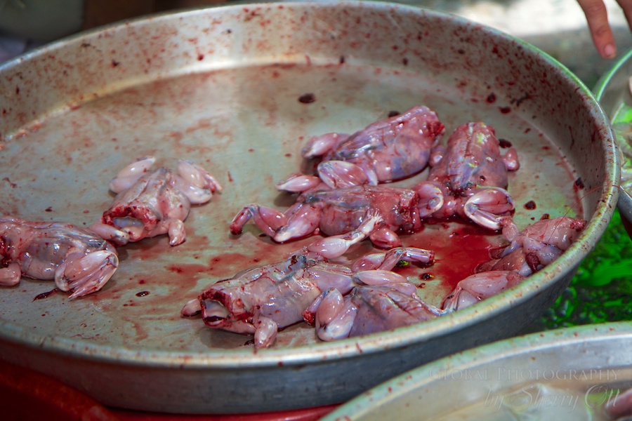 Frogs for sale…it took us a while to realize these were still alive.