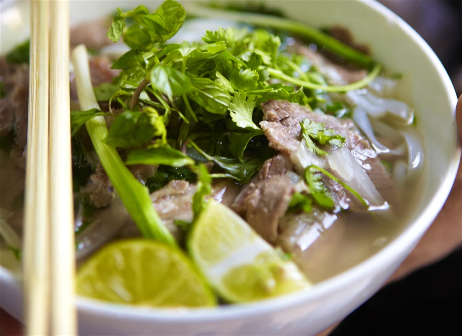 A fresh bowl of pho bo © Matt Munro / Lonely Planet 